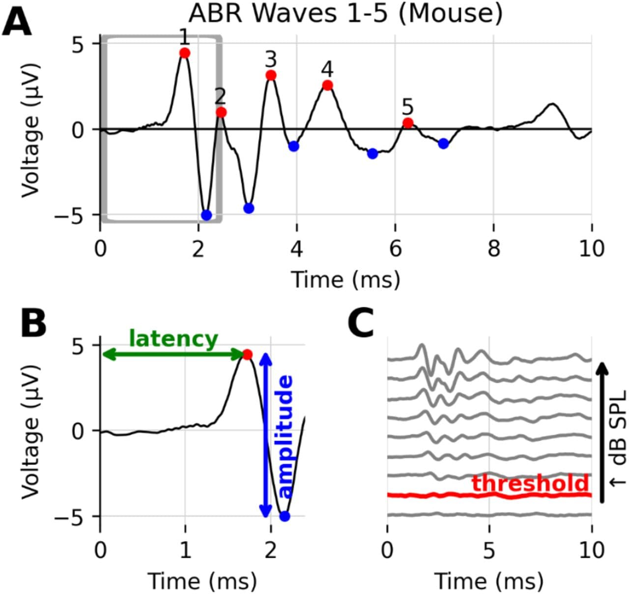 ABRA project preview